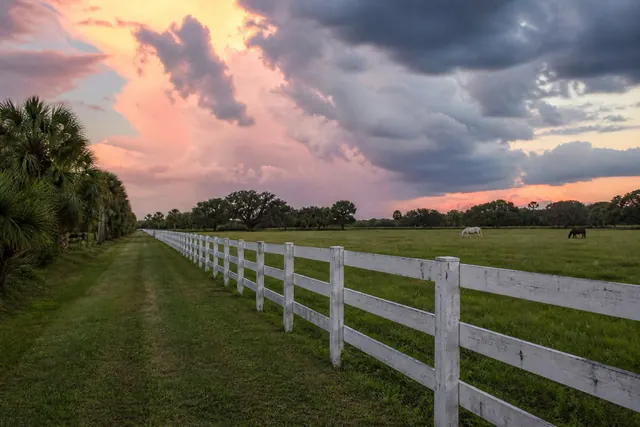 Wooden three-rail fence beside a grassy horse trail at golden hour with two horses grazing beyond it