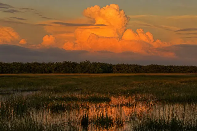 Sawgrass plain at dusk with a distant melaleuca wall under a massive orange-lit cumulus stack