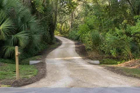 Fresh shellrock two-track drive curving through cabbage palms into a wooded Davie flag lot, mulched shoulders and a culvert at the swale