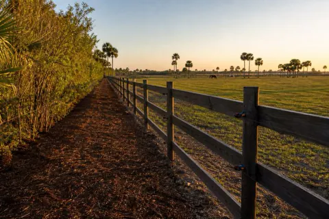 Freshly mulched straight corridor along a wooden three-rail paddock fence in Davie, rails visible again after years of overgrowth