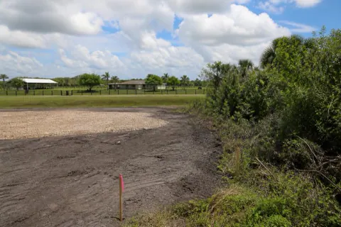 One-acre Davie homesite mid-clear with surveyor stakes and pink flagging, cleared dark sand on one side and pepper overgrowth on the other