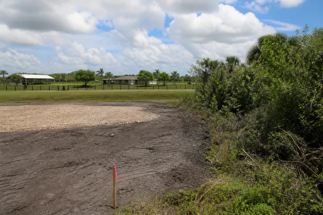 One-acre Davie homesite half cleared to dark sandy soil with survey stakes, the other half still in Brazilian pepper and palms
